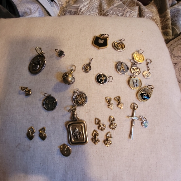 Meet your Posher, Sammy - Picture 12 of 12